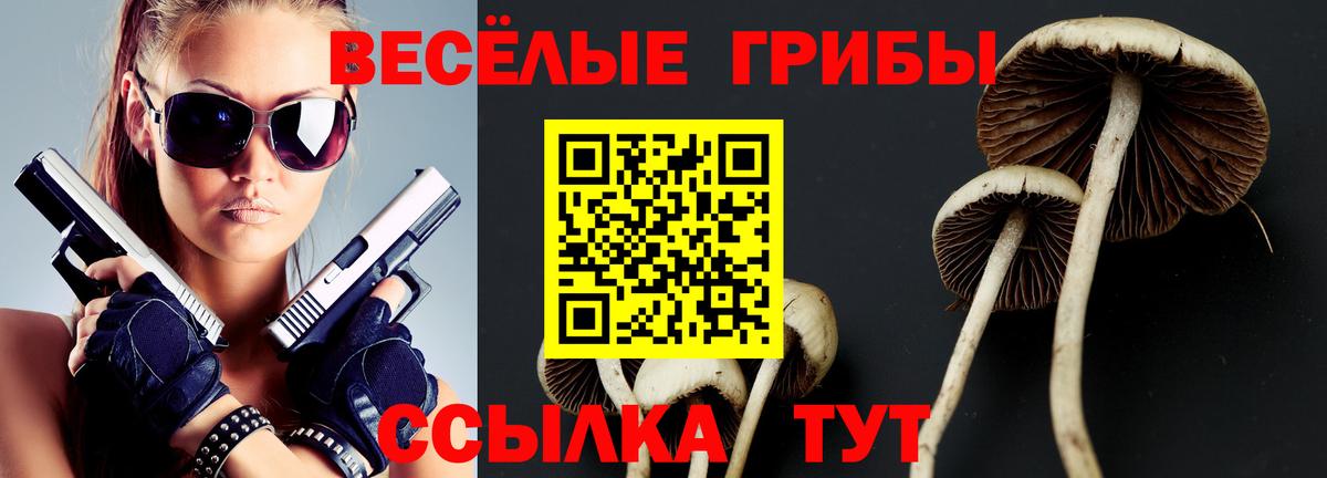 Псилоцибиновые грибы Magic Shrooms  Вход с VPN  Удомля  Псилоцибиновые грибы Psilocybe 